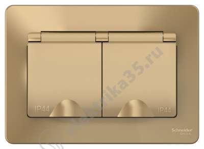 Розетка 2-м СП BLANCA с з/к., защ. шт., защ. крышкой IP44 титан SchE BLNRS441124