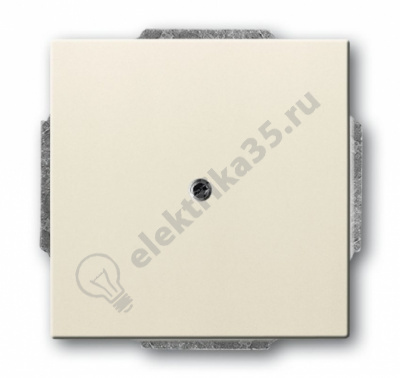 Заглушка с суппортом сл. кость ABB 2CKA001715A0313 