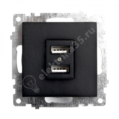 Розетка 2-местная USB черный, Stekker (GLS10-7115-05)