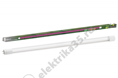Лампа светодиодная T8-18 Вт-220 В-G13 "ФИТО" 1200 мм TDM SQ0340-0239